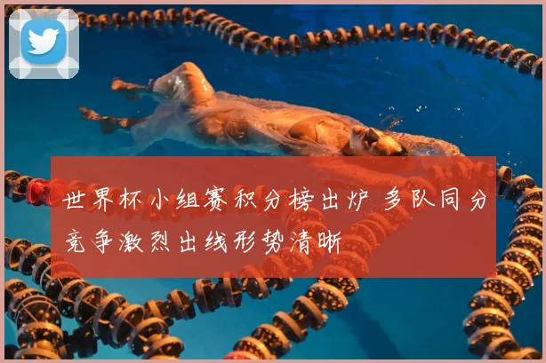 世界杯小组赛积分榜出炉 多队同分竞争激烈出线形势清晰