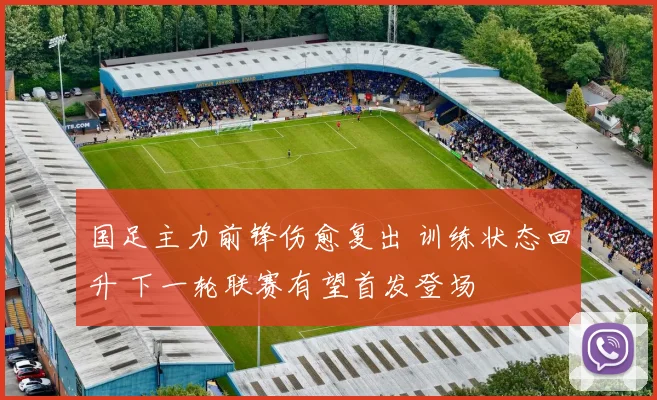 国足主力前锋伤愈复出 训练状态回升 下一轮联赛有望首发登场